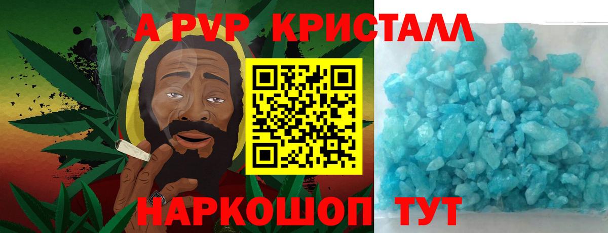 A PVP СК Шебекино