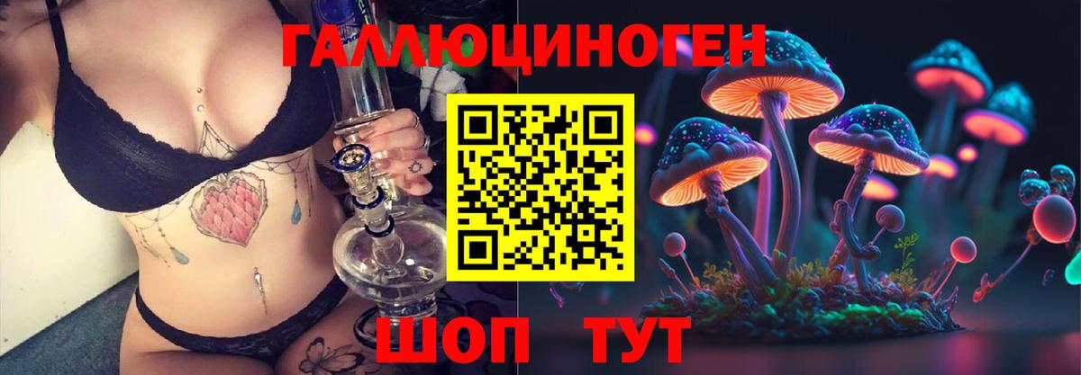Псилоцибиновые грибы Cubensis  Вход с VPN  Шебекино 